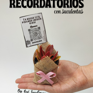 Recordatorios