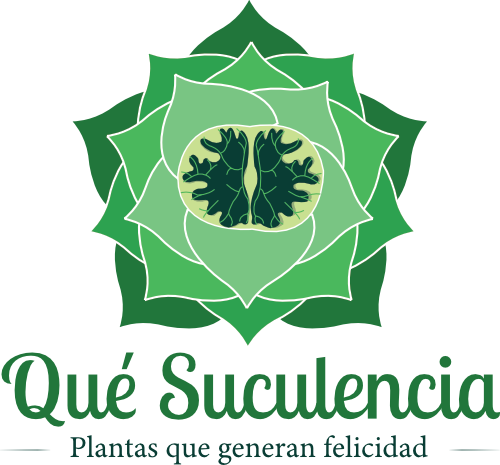 Que Suculencia